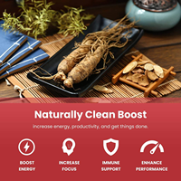 Capsules de Ginseng Rouge Coréen Panax à Marque Blanche, Force Maximale, Haute Teneur en Ginsénosides, Extrait de Racine de Ginseng en Poudre, Complément Alimentaire