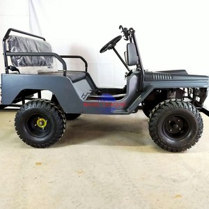 Mini Jeep de 350cc para Niños, Autos Usados en Venta, Vehículos 4x4, Buggy Eléctrico para Hotel, Buggy Todoterreno a Gasolina - Product Image 6