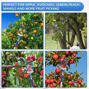 Outil de cueillette <span class=keywords><strong>télescopique</strong></span> réglable en métal pour fruits, hauteur de portée de 9 mètres, pour usage en jardin - Product Image 6