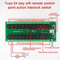 Tuya 24 Channel Smart WiFi/Zigbee Wireless Relay Switch Module APP RF Remote Control Smart Home Automation Module 12V