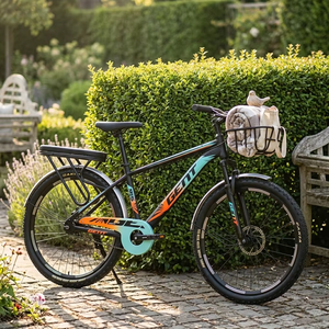 Bicicletta da Montagna 26 Pollici, 21 Velocità, Freni a Disco, Cestino Anteriore, Portapacchi Posteriore, Sella Imbottita, Telaio in Acciaio, Parafanghi Completi - Product Image 3