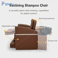 Chaise de lavage professionnelle Amodern Hair Head Spa Chaise de shampooing inclinable