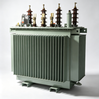 Transformateur de distribution de puissance triphasé immergé dans l'huile Taishun S11 80KVA 50/60Hz 6.3kV 10kV