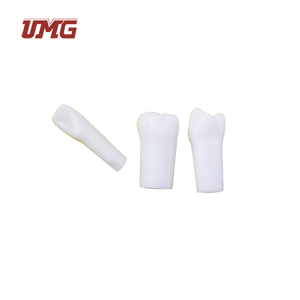 1:1 Einzelner Wurzelzahn Permanenter Zahn Simulationsmodell Zahnkariesmodell für Zahnmedizinische Lehrzwecke und Medizinische Schulen <span class=keywords><strong>UMG</strong></span> - Product Image 6