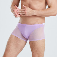 Mesh Semi Transparent Boxer Haute Élasticité U Convexe Boxers Respirant Taille Basse Sexy Hommes Boxers Sous-Vêtements