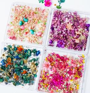 Flores Secas Prensadas Naturales para Decoración de Uñas, Manualidades - Product Image 5