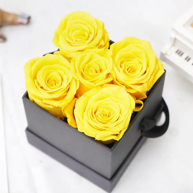 सेक्सी बरगंडी वेलेंटाइन दिवस उपहार में लंबे समय तक चलने गुलाब फूल संरक्षित गुलाब उपहार बॉक्स मखमल