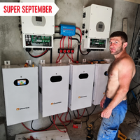 Stock UE 51.2V 200/300Ah Batterie murale LiFePO4 pour stockage d'énergie solaire et appareils électroménagers, 10-20kW, montage mural