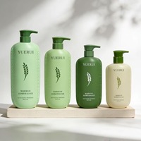 Bouteilles plates personnalisées en PEHD pour shampoing et après-shampoing 300ml 400ml 500ml 750ml – Ensemble de flacons vides pour soins capillaires