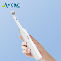 Brosse à dents électrique personnalisée, brosse à dents électrique de luxe, 3 modes, rechargeable, adulte, étanche
