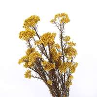 Fabriek Directe Groothandel Bloemen Boeketten Geconserveerde Rijstbloem Voor Huisdecoratie Cadeau Arrangement Yunnan Droge Natuurlijke Express