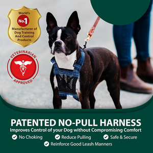 No Pull cane imbracatura maglia traspirante gilet Comfort Design imbottito veterinario approvato per piccole medie grandi cane da addestramento a piedi - Product Image 4