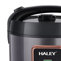 Autocuiseur Électrique Multifonctionnel en Acier Inoxydable HALEY avec Pression Réglable – Appareil Ménager Économe en Énergie