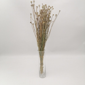 Fleurs et plantes décoratives en gros, pavot de la vallée séché, pavot de la vallée séché, bouquets de fleurs conservées, décoration de mariage, décoration de la maison, cadeau - Product Image 3