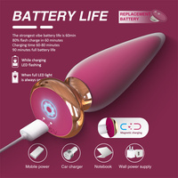 Plug Anal Vibrant Magnétique Rechargeable avec Télécommande Masseur de Prostate