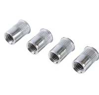 Chine fabricant 304 acier inoxydable Revet Rivet écrou en acier au carbone bande plate trou aveugle isolant rivière ancres de cloison sèche