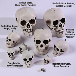 Suministros de Halloween, Accesorios Decorativos, Modelo de Cráneo Humano Artificial, Decoración Espeluznante para Casa Embrujada, Cráneo de Esqueleto - Product Image 3