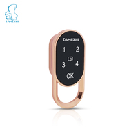 Serrure Intelligente Mini Intégrée DAMUZHI pour Armoire, Tiroir, Maison, Bureau – Verrouillage Antivol avec Clavier Tactile pour Meubles