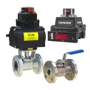 EB7บอลลอยน้ำพร้อมตัวควบคุม ESD ซีรีส์ topworx DX สำหรับอุตสาหกรรมน้ำมันก๊าซและปิโตรเคมี - Product Image 1