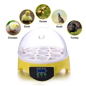 Multifunctional 1-7 Mini Automatic Quail Chicken Duck Goos Hatching Machine Egg Incubator And Hatcher