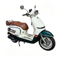 Vélo Électrique Rétro Sportif à Cadre Bas, Moteur Brushless 60V, Vélo Électrique Urbain pour Adultes en Stock
