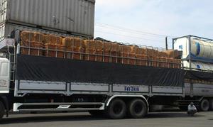 [2023] - Product Image 5