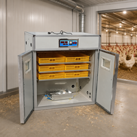 Incubateur à œufs automatique pour pigeons de marque populaire, capacité 528 œufs, en vente