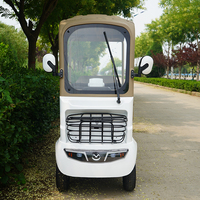 Nouveau design de voiturette de golf verte écologique moteur différentiel à quatre roues électrique activités de voiturette de golf familiale haute performance