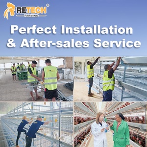 Retech Thiết Kế Gia Cầm Nhà Cấu Trúc Xây Dựng Tự Động H Loại Lớp Gà Pin Lồng Thiết Bị Với Trứng Thu Thập - Product Image 5