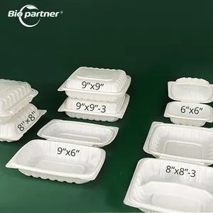 Restaurant Wholesale Disposable Bento Boxes 9.5x7.1x1.8 (SAMPLE)