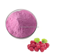 Poudre concentrée de jus de framboise saveur framboise, qualité supérieure, additif alimentaire en poudre de fruits de framboise, produit phare
