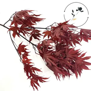 Dried leaf dried leaves and flower Acer palmatum Maple leaves Flower For Home decoration flower hanging decor
