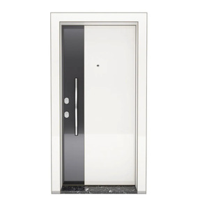 Porte coulissante moderne en métal SFA-112, type levage, commande manuelle, entrée extérieure, antivol, porte complète - Product Image 1