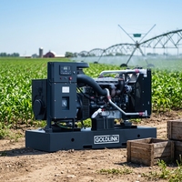 Générateur diesel à châssis ouvert Goldlink, nouveau design, 56 kVA/45 kW, générateurs diesel 220 V AC monophasés, certifié CE pour l'agriculture