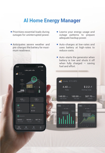 <span class=keywords><strong>Onduleur</strong></span> solaire hybride monophasé hors réseau Xenterra 48V 10kW, contrôlable par application intelligente, compatible parallèle, 10kVA avec 2 MPPT intégrés - Product Image 4