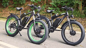 European Warehouse Low Price Factory Direct Sales Ebycco Fat Tire Moped - Product Image 5