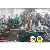 Ananas Kan Voedsel Proces Machine Ananas Fruit Blik Productielijn
