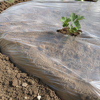 Film de paillage agricole transparent en polypropylène HNTF 1,2 m x 1000 m 20 microns, directement de l'usine, pour le réchauffement du sol et la rétention de l'humidité
