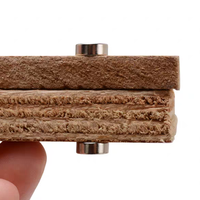 Aimant néodyme robuste nickelé sur mesure N52 N35, petit disque rond fraisé avec trou pour vis, aimant industriel