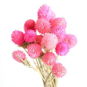 Натуральные сушеные растения, профессиональный производитель, букеты с сушеными цветами, клубника, разные типы красных цветов, сушеные цветы - Product Image 6