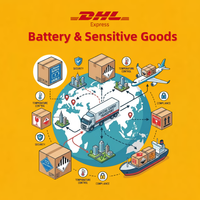 Expédition Express DHL à Tarifs Officiels Compétitifs pour Marchandises Dangereuses Liquides Sensibles aux Batteries (DG) et Portes de Cargaison, Livraison en 2-6 Jours
