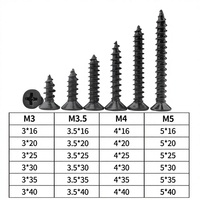 China Manufacturer M1-M6 Self Tapping Screws Stainless Steel Furniture Fastener