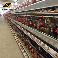 Nouvelle cage à poules pondeuses de type A en acier galvanisé à chaud, capacité de 96 à 160 poulets, pour l'élevage avicole et l'utilisation en batterie d'œufs en ferme