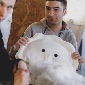 Poupée en peluche Pierogi, accessoires d'anime, collection de poupées douces, décoration de <span class=keywords><strong>chambre</strong></span>, jouet, cadeaux d'anniversaire pour enfants - Product Image 5