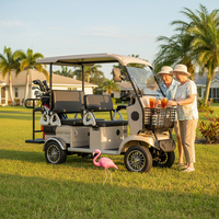 HLD Nouveauté 800w 60v Vente en gros Quadricycle électrique 4 roues 6 places avec toit ouvert, scooter électrique de mobilité