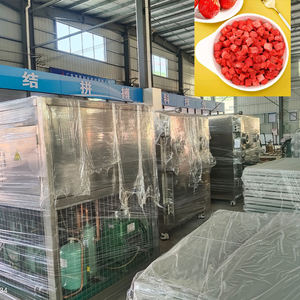 Best <b>Freeze</b> Dryer Machine 50Kg Latest Industrial Drying <b>Equipment</b> - Product Image 5