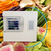 Commerciële professionele huishoudelijke kleine schaal lyofilisator machine voor fruit, groenten en snoep, vacuümvriesdroger