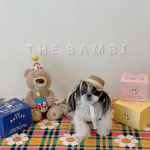 Chapéu à prova de sol para cachorro, mini chapéu de sol - Product Image 3