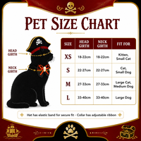 Ensemble de costumes d'Halloween personnalisés pour chats, OEM ODM, tenue en peluche douce pour animaux de compagnie avec chapeau et cape pour chats et petits chiens, marque privée