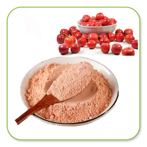Polvo de Jugo de Espino <span class=keywords><strong>100</strong></span>% Puro y <span class=keywords><strong>Natural</strong></span>, Extracto de Fruta de Espino en Polvo, Polvo de Espino - Product Image 3